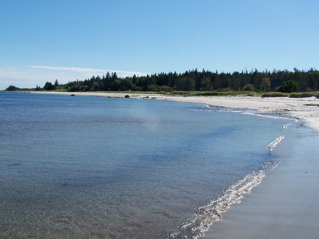 Carleton Village Beach