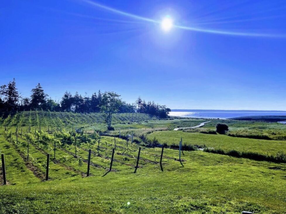 District 33 Winery