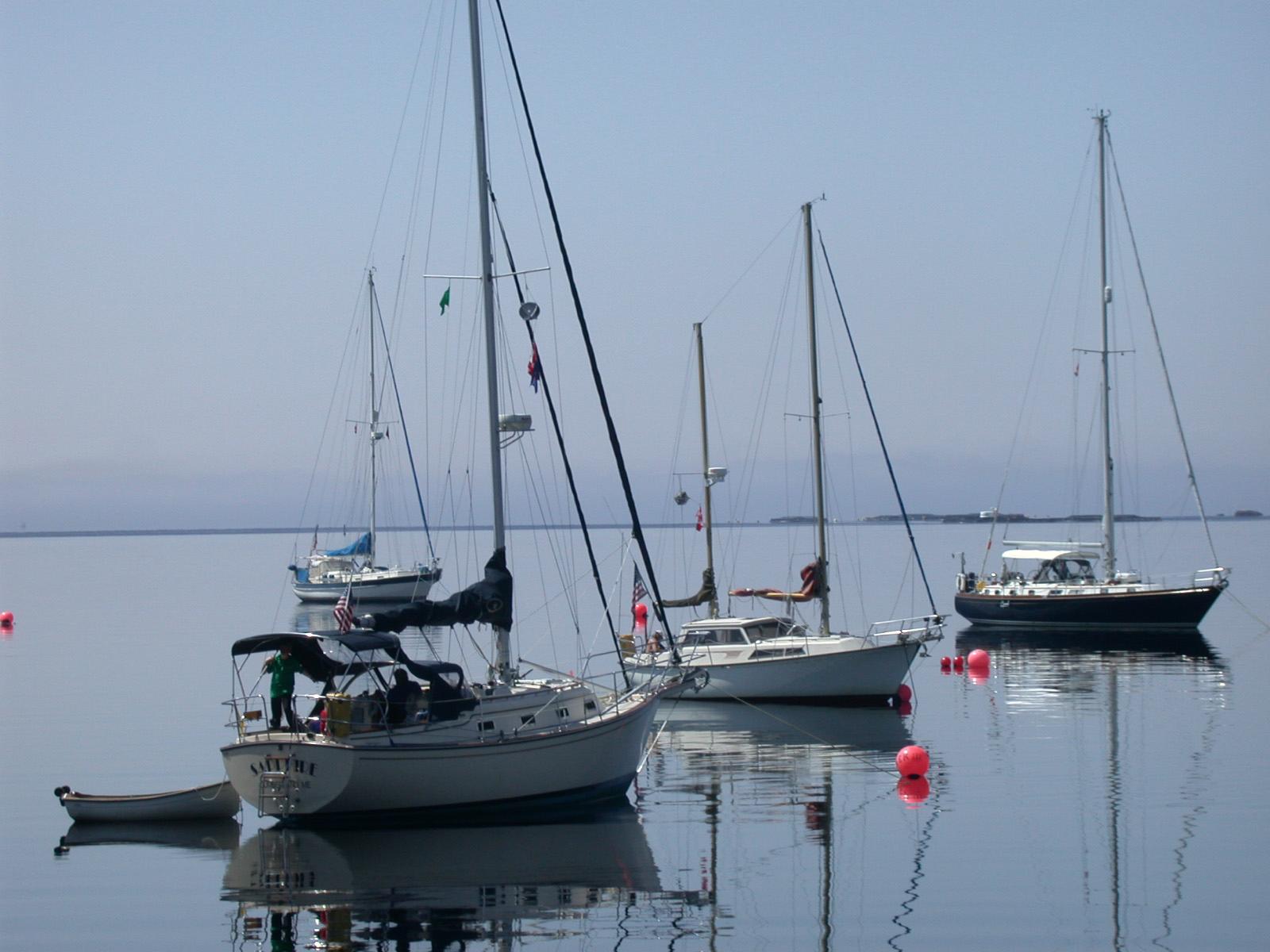 sailboats moored in Shelburne Harbour